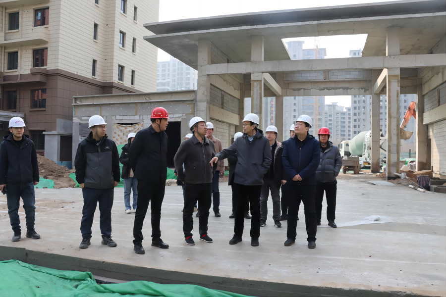 沧发集团赴重点项目督导调研